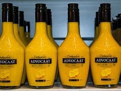  Advocat